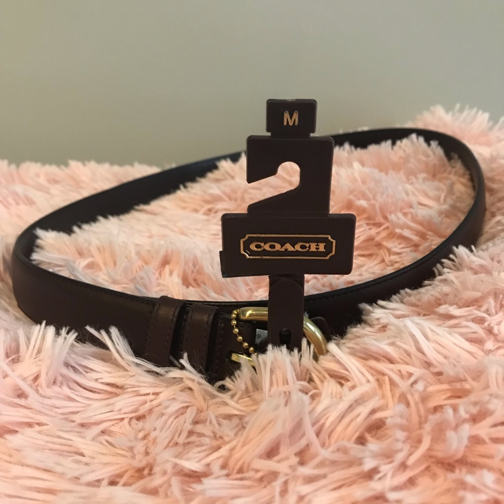 Brown Leather Coach Belt